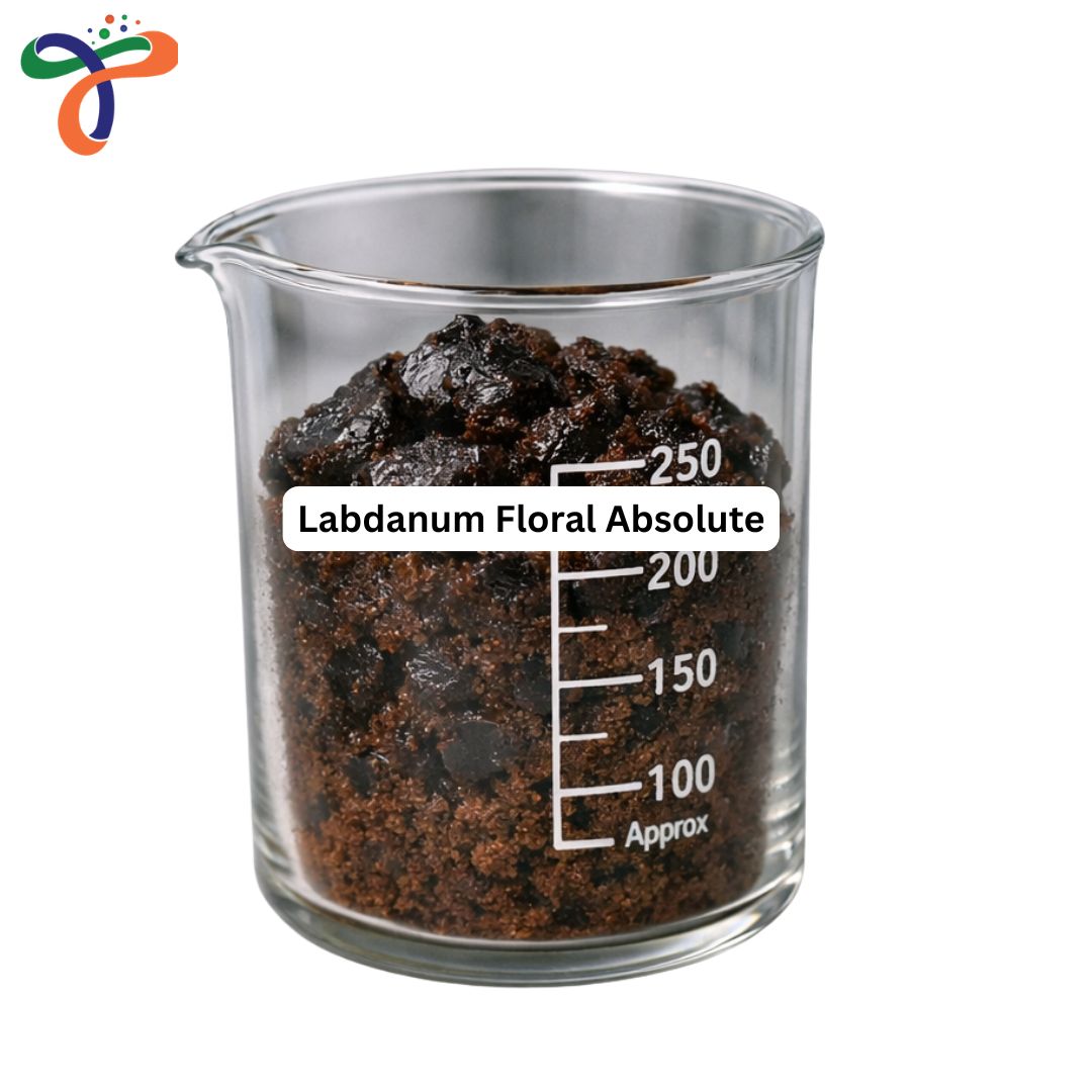 Labdanum Floral Absolute
